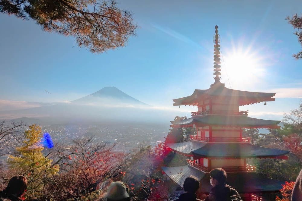 🏞️ 시즈오카 현영 요시다 공원 (시즈오카켄에이 요시다코엔) 이미지 7